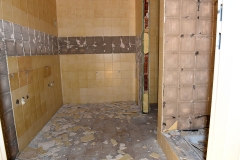 lfs_internat-6